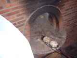 TN_2003_0413_091438AA.JPG