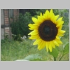 2007_0722_152141AA.JPG